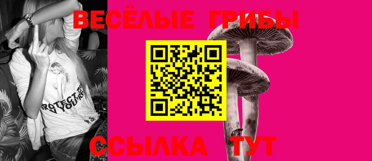 Прохладный  продажа наркотиков  Вход с VPN  Галлюциногенные грибы MAGIC MUSHROOMS  Псилоцибиновые грибы GOLDEN TEACHER 